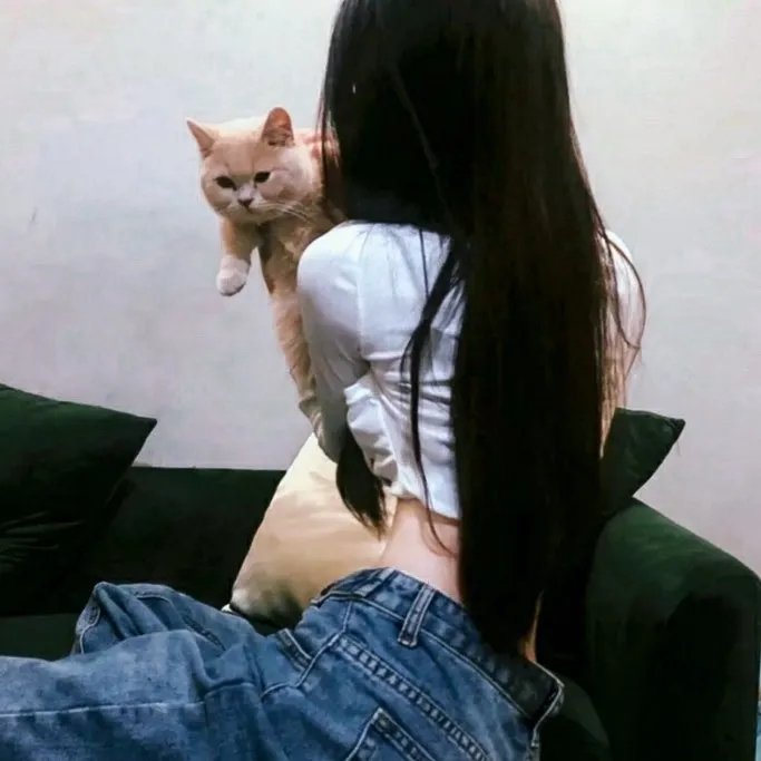 奔跑吧风扇